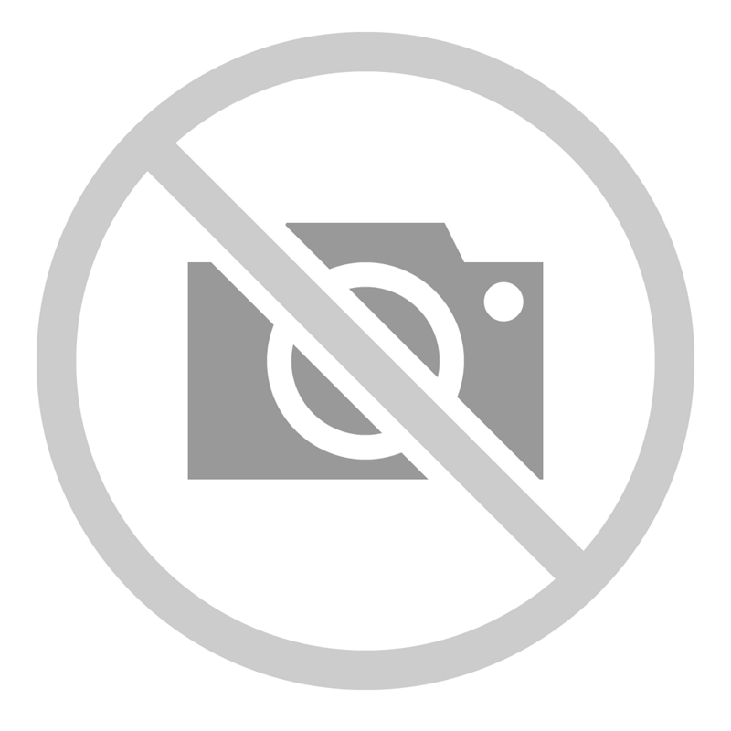 Reptile List February