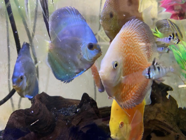 Freshwater Arrival May 2023