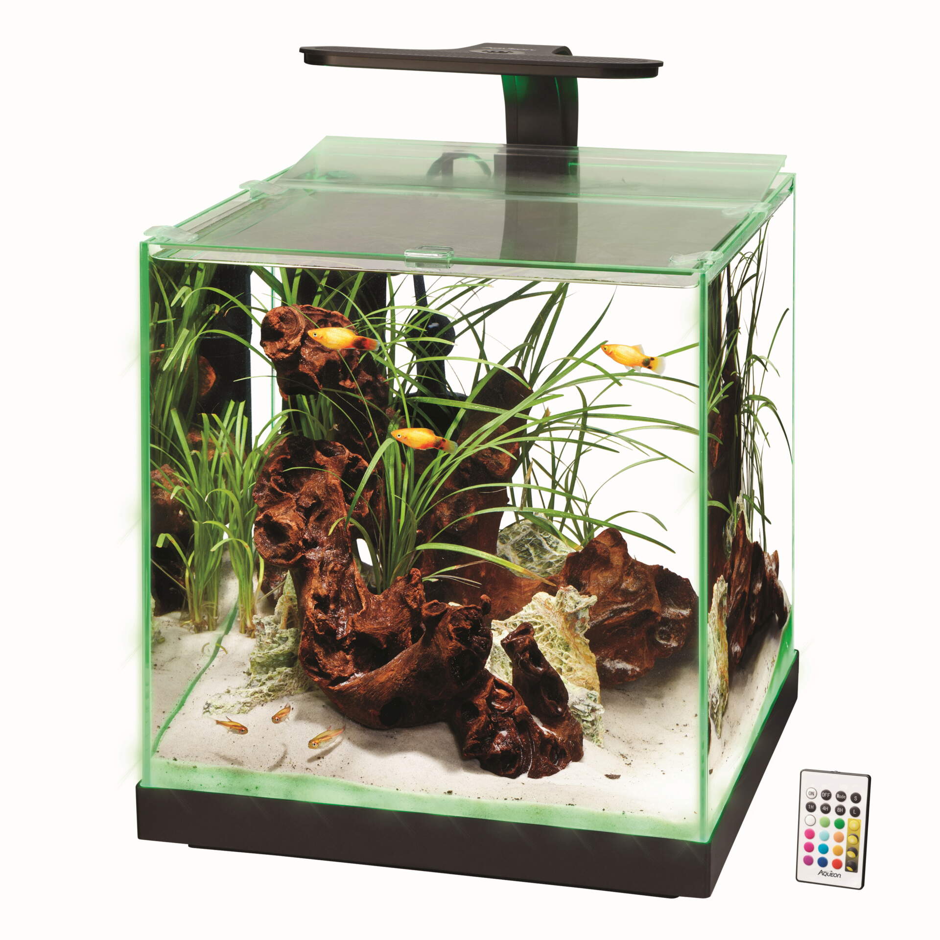 FW Aquariums